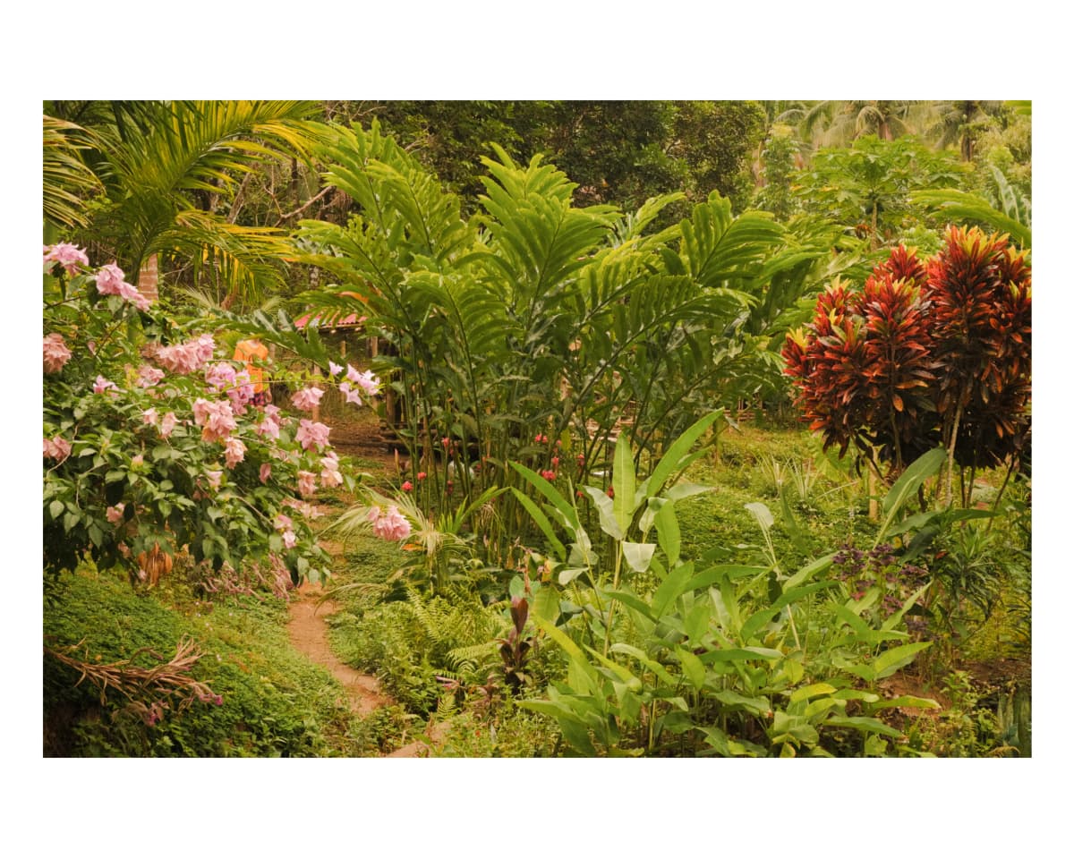 Landscape 1