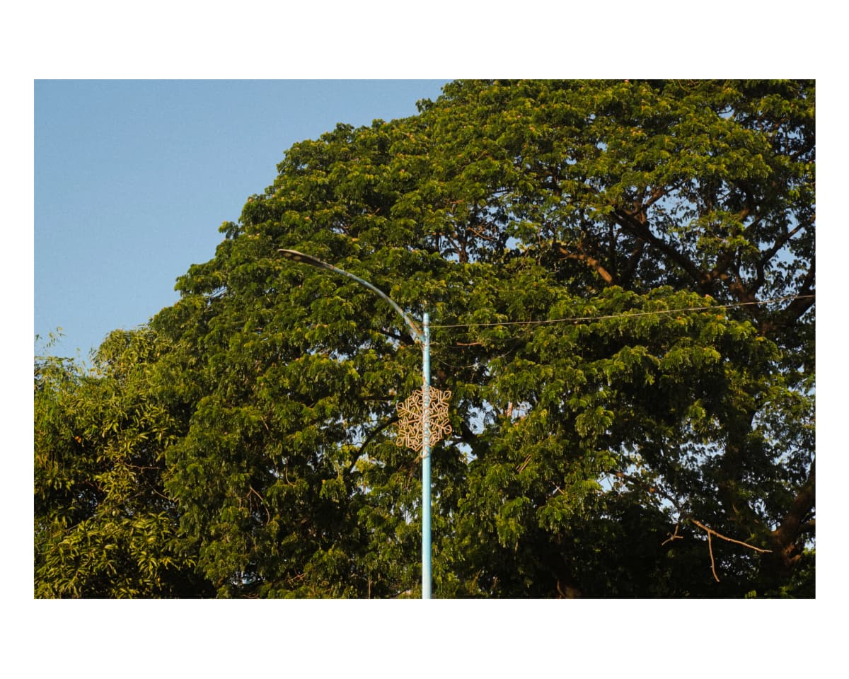 Landscape 36
