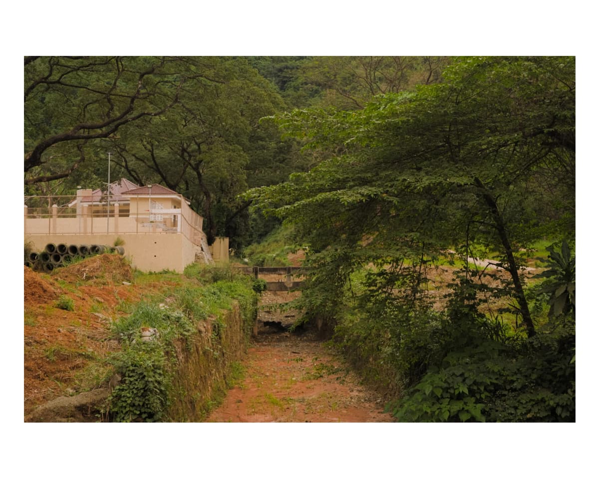 Landscape 4