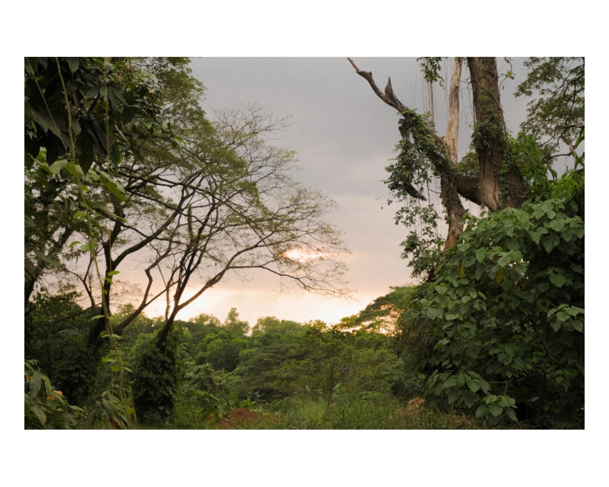 Landscape 48