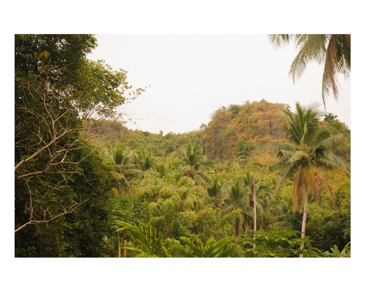 Landscape 68