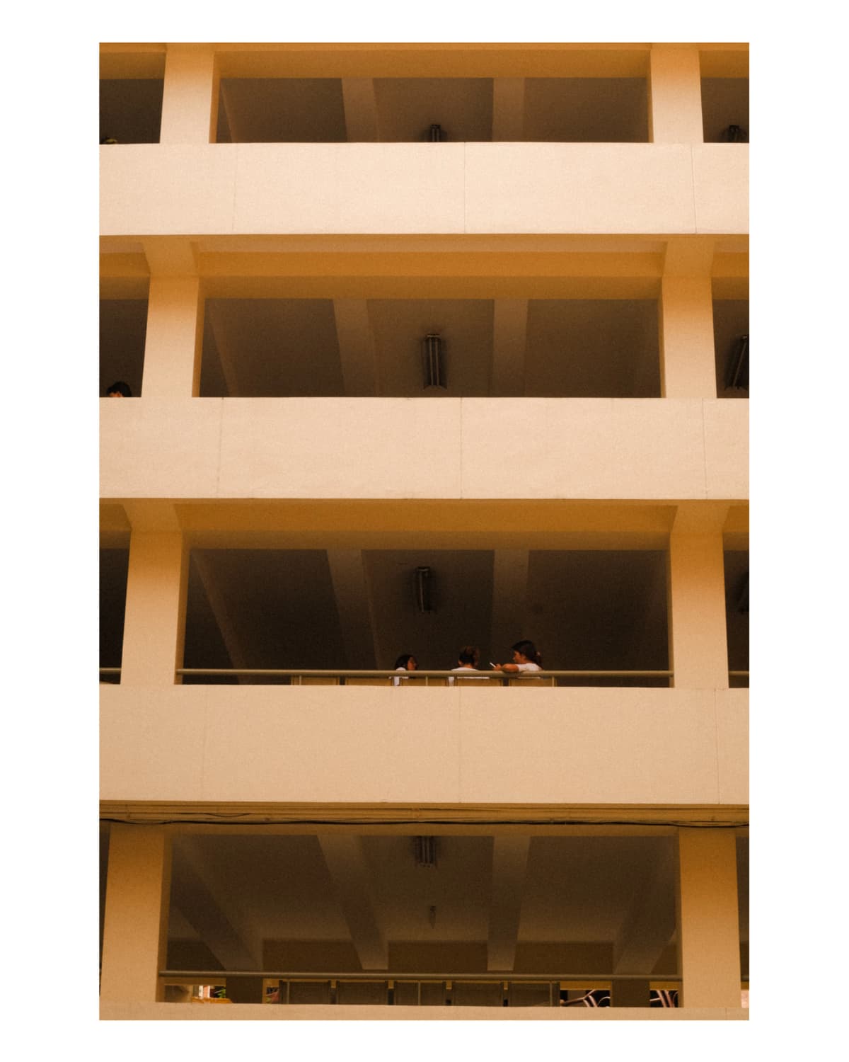 Portrait 41